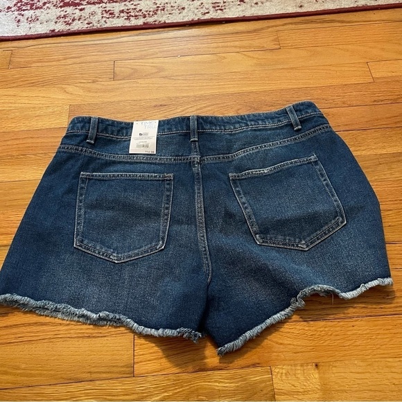 Time and Tru | High Rise Denim Shorts | size 14 - Picture 4 of 7